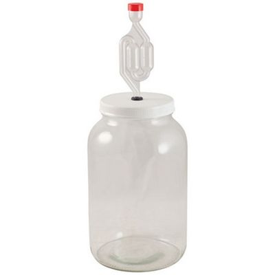 Fermenter- 1 Gallon Glass Jar Kit - Lid and Airlock