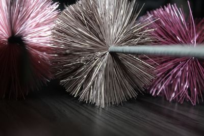 SHORT CLEAMING BRUSH