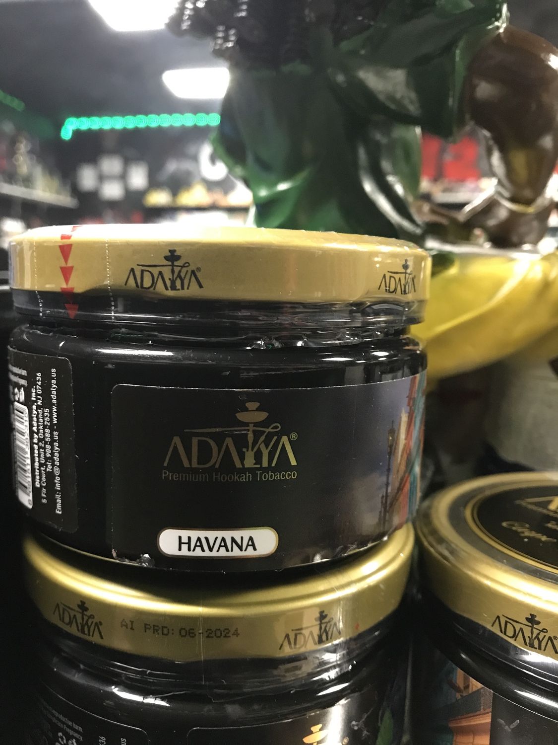 ADALYA - HAVANA  - JAR