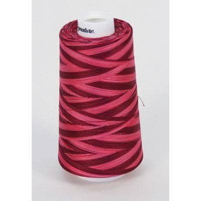 Signature Cotton, Raspberries