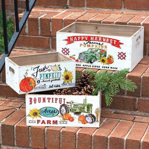 Small Wooden Pumpkin Storage Box