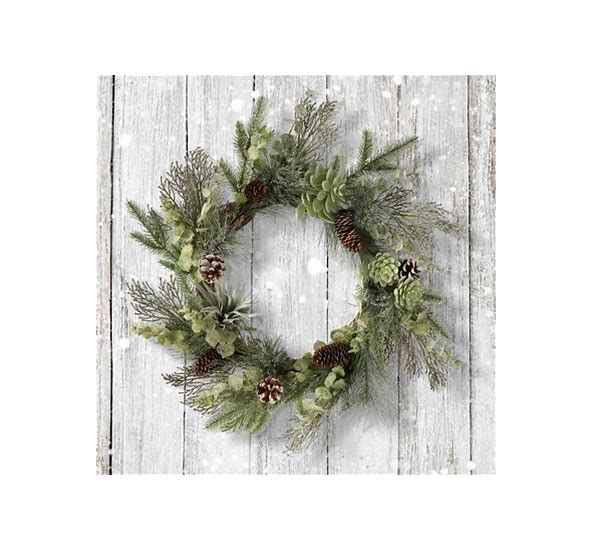 22&quot; Pine/Cedar/Spruce Succulent Wreath