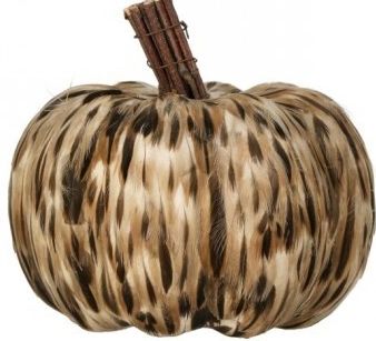 5.5&quot; Natural Feather Pumpkin