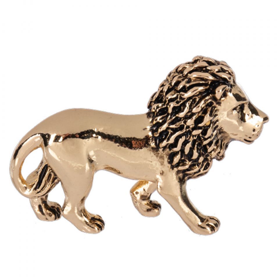 Be Brave &amp; Courageous Lion Charm - Pocket Charms