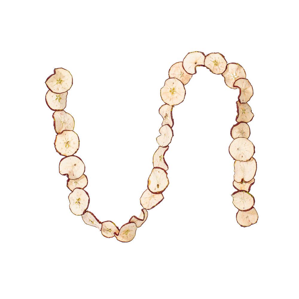 10&#39; Natural Dried Apple Garland
