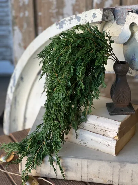 28&quot; Emerald Falls Hanging Bundle