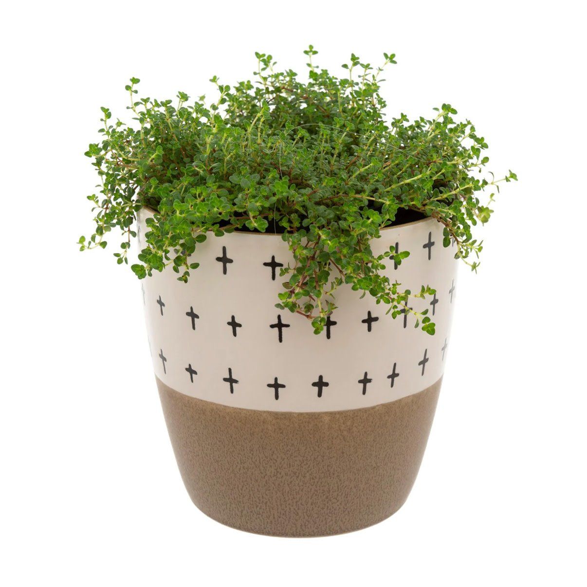 Doodle Pot, Taupe