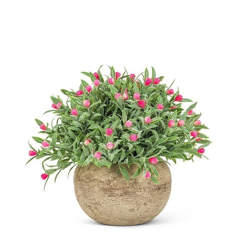 Small Pink Plant Pot