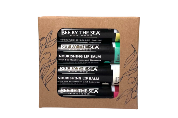 Lip Balm Gift Set- 4 pack