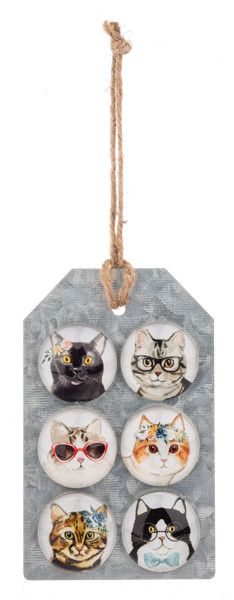 Cat Magnet Set of 6