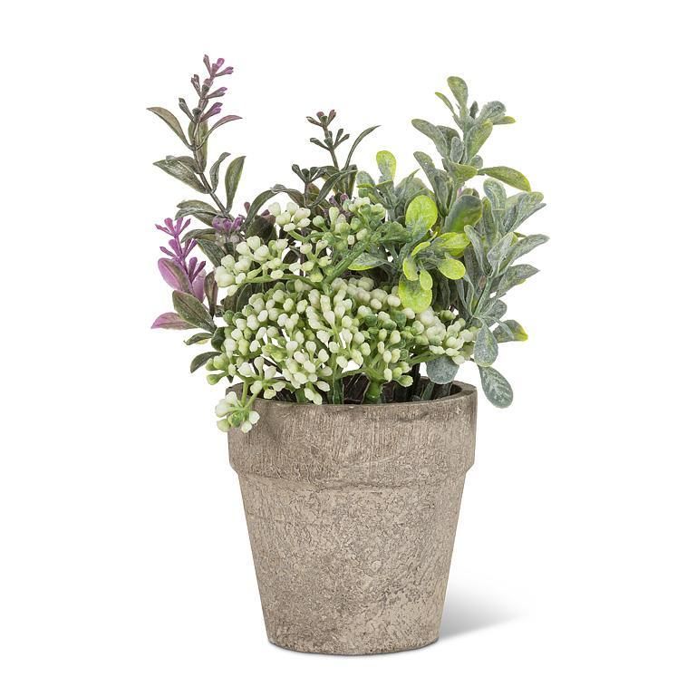 Mixed Greenery and Lavender Plant
