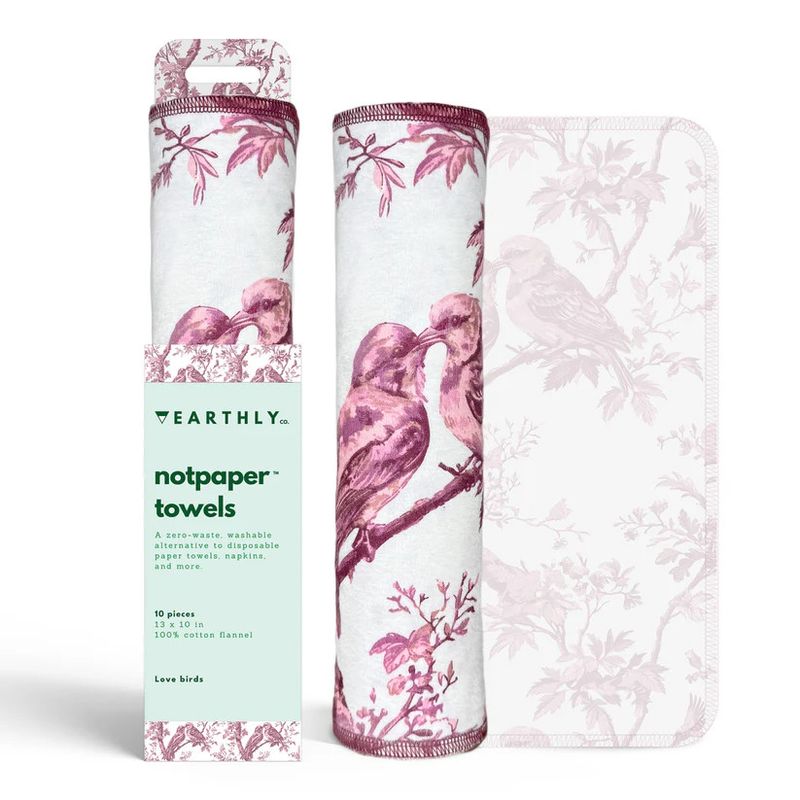 Winter Not Paper Towel 10pk