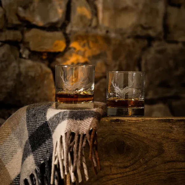 Glass Tumbler  set of 2