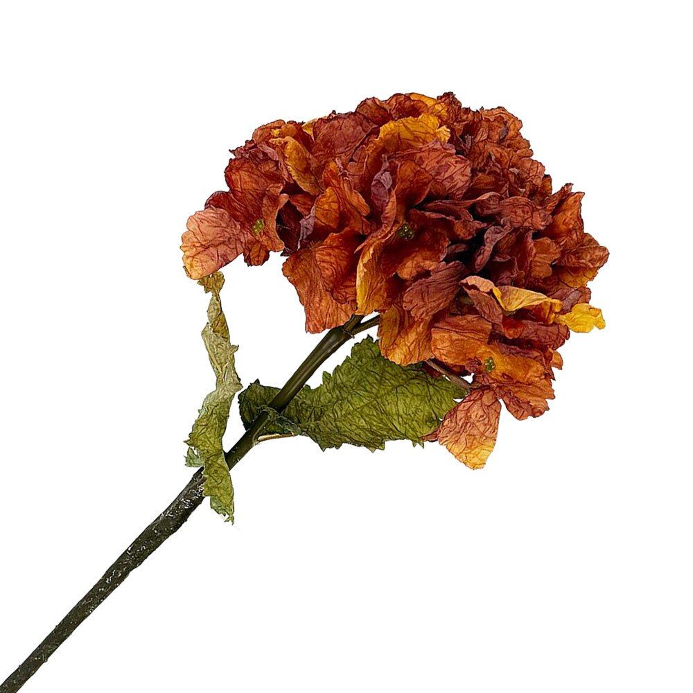 Fall Stem Hydrangea 22'' Rust Orange Vintage