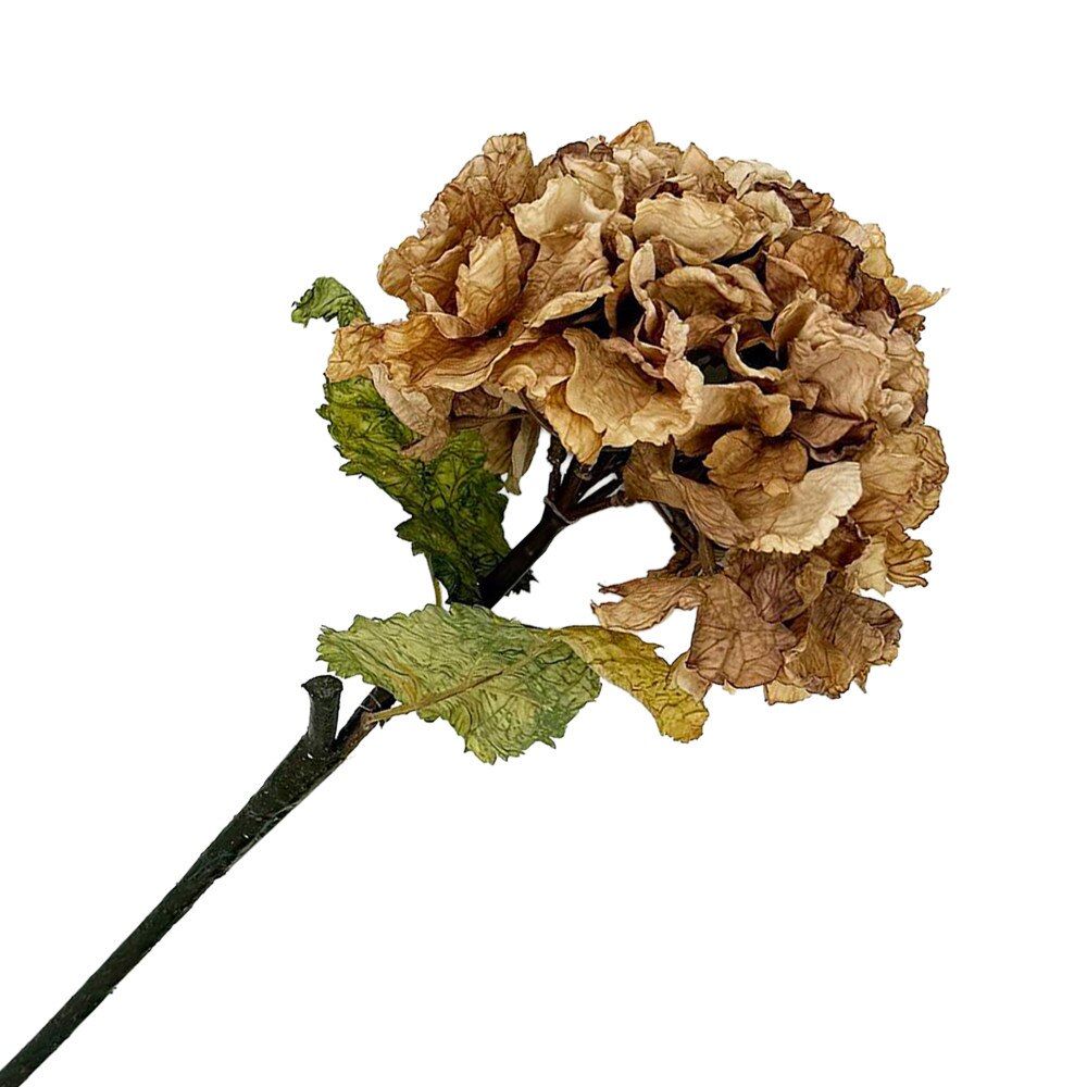 Fall Stem Hydrangea 22'' Brown Tan Vintage