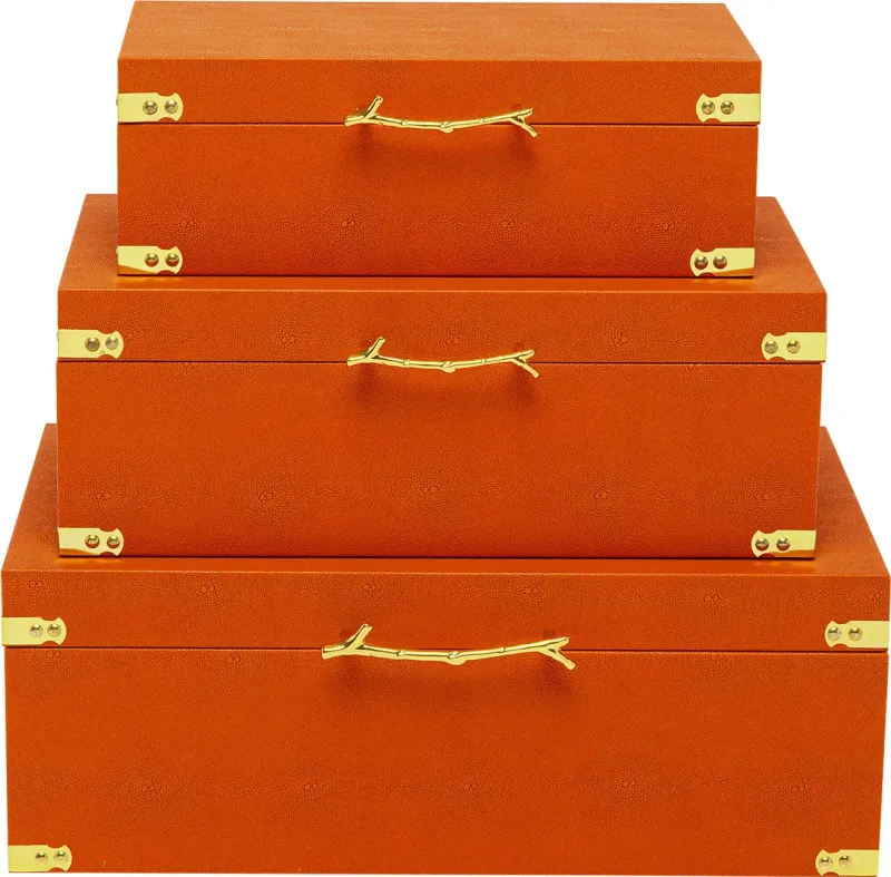 BOX NOAH ORANGE (3/SET)
