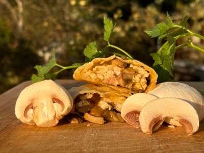 Teresa (Mushroom) - Grande Empanada