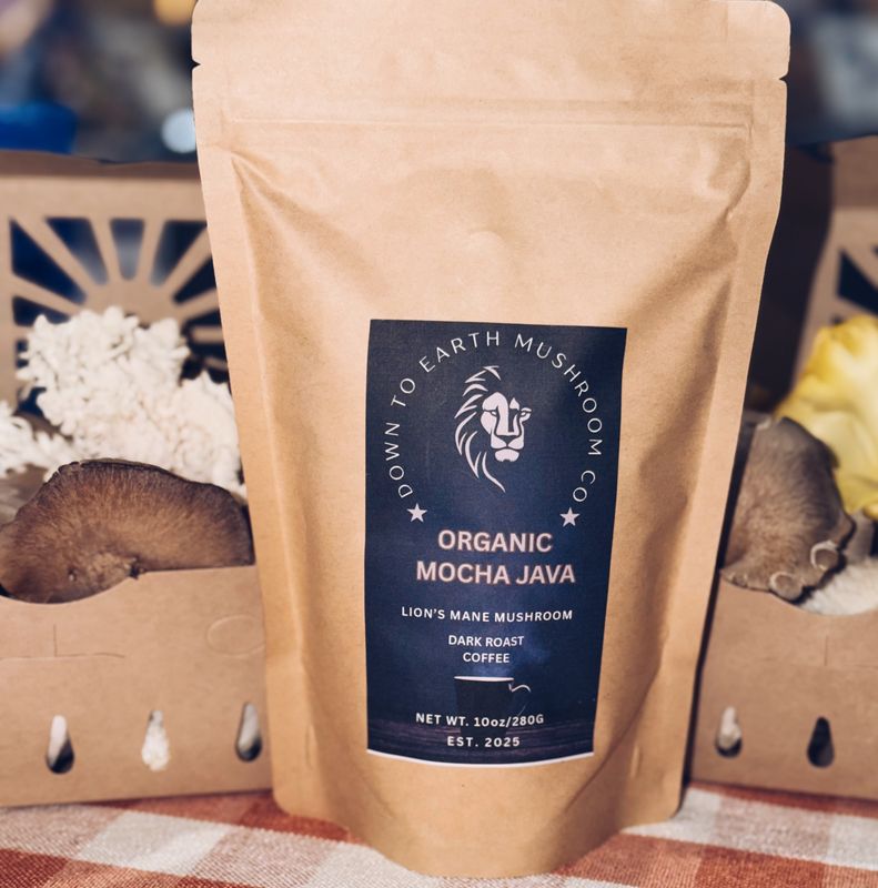 Organic Dark Roast Mocha Java Lion’s Mane Coffee