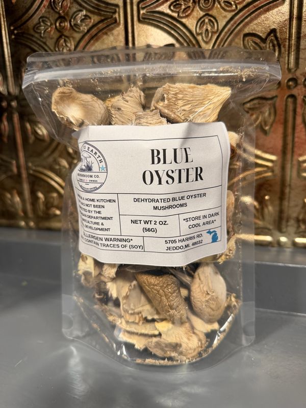 Dehydrated Blue Oyster Mushroom