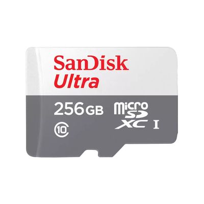 SanDisk Ultra 256 GB MicroSDXC UHS-I Class 10 (256GB ULTRA LITE WHITE/GRAY - ...