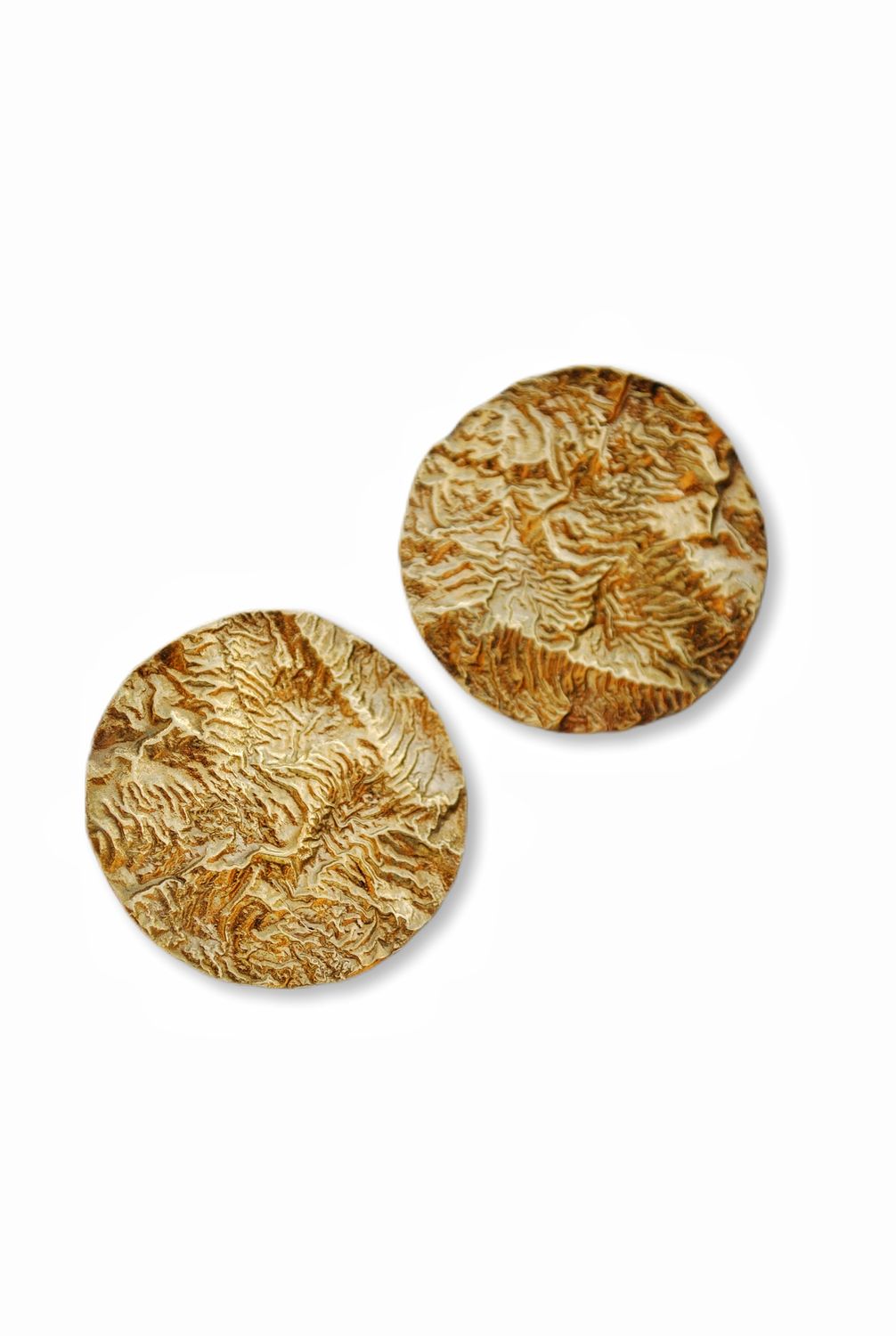 Brass earrings