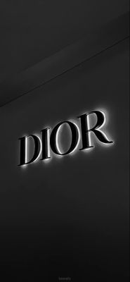 Dior Sneakers