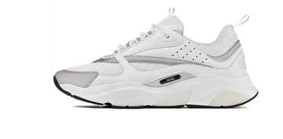Dior B22