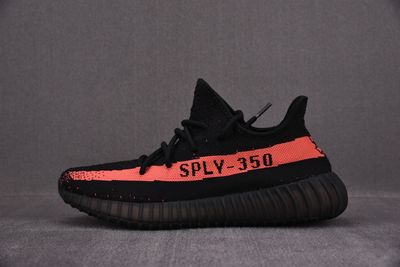 Yeezy 350