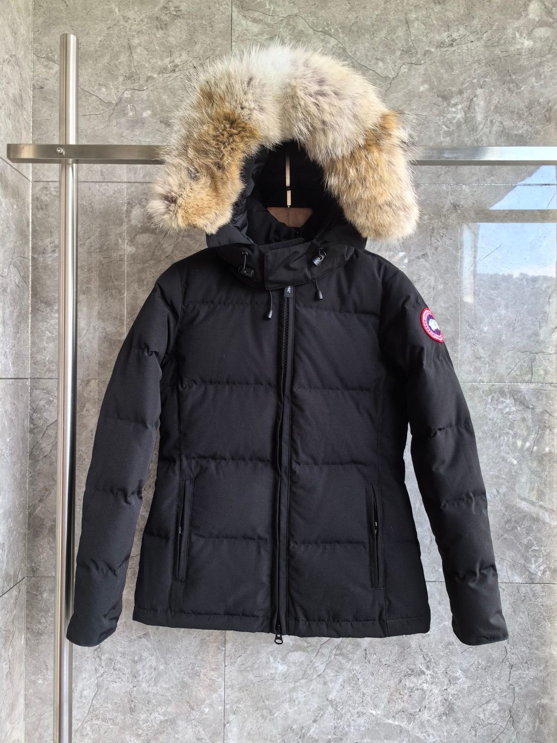 Canada Goose