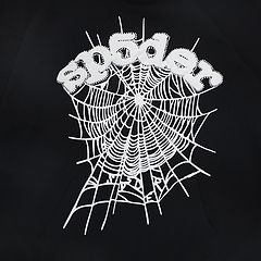 Spider hoodie