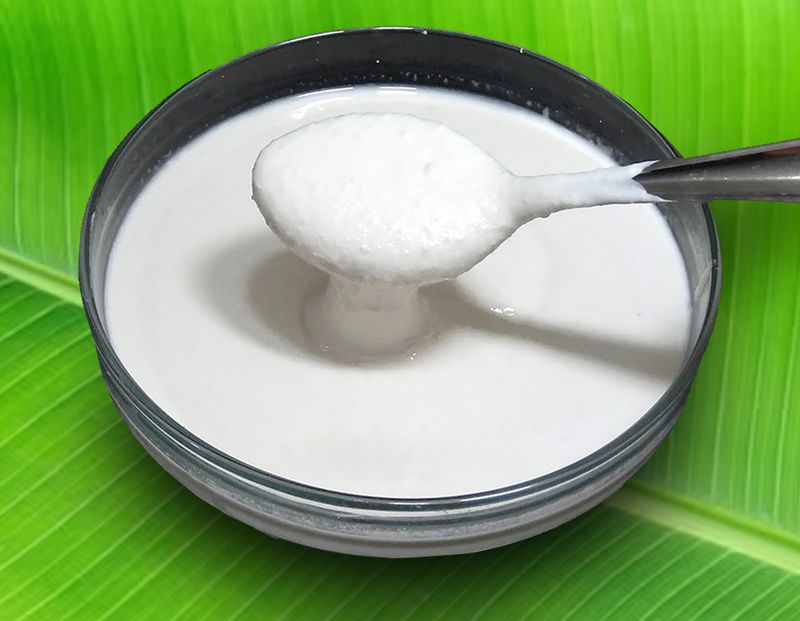 Dosa Batter