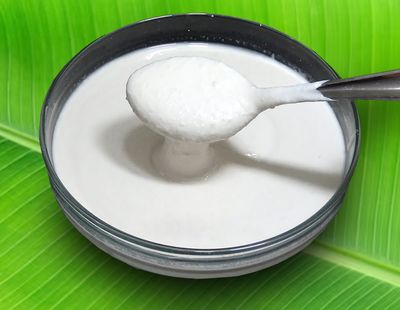 Dosa Batter