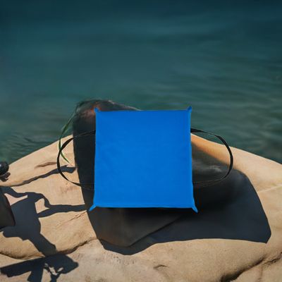 X2O U.S. Coast Guard Approved Type IV Throwable Boat Cushion in Blue.