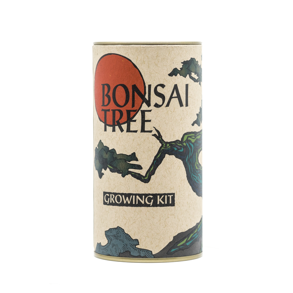Bonsai Tree Seed Grow Kit by The Jonsteen Company