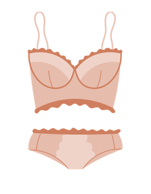 Bras, Panties, &amp; Lingerie