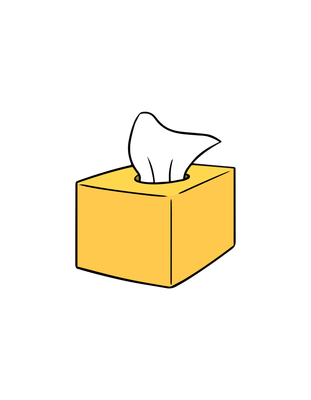 Tissue Box Covers