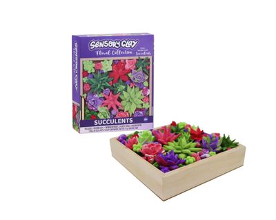 Sensory Clay Floral Succulents Kit