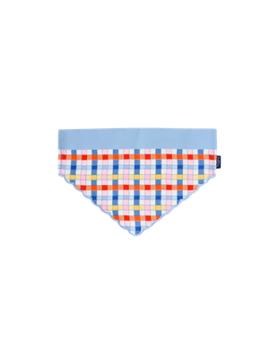 Packed Party Bandana for Dogs, Mad for Plaid, Medium/Large