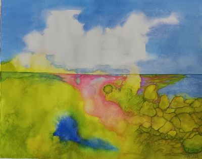 Coral Reef
