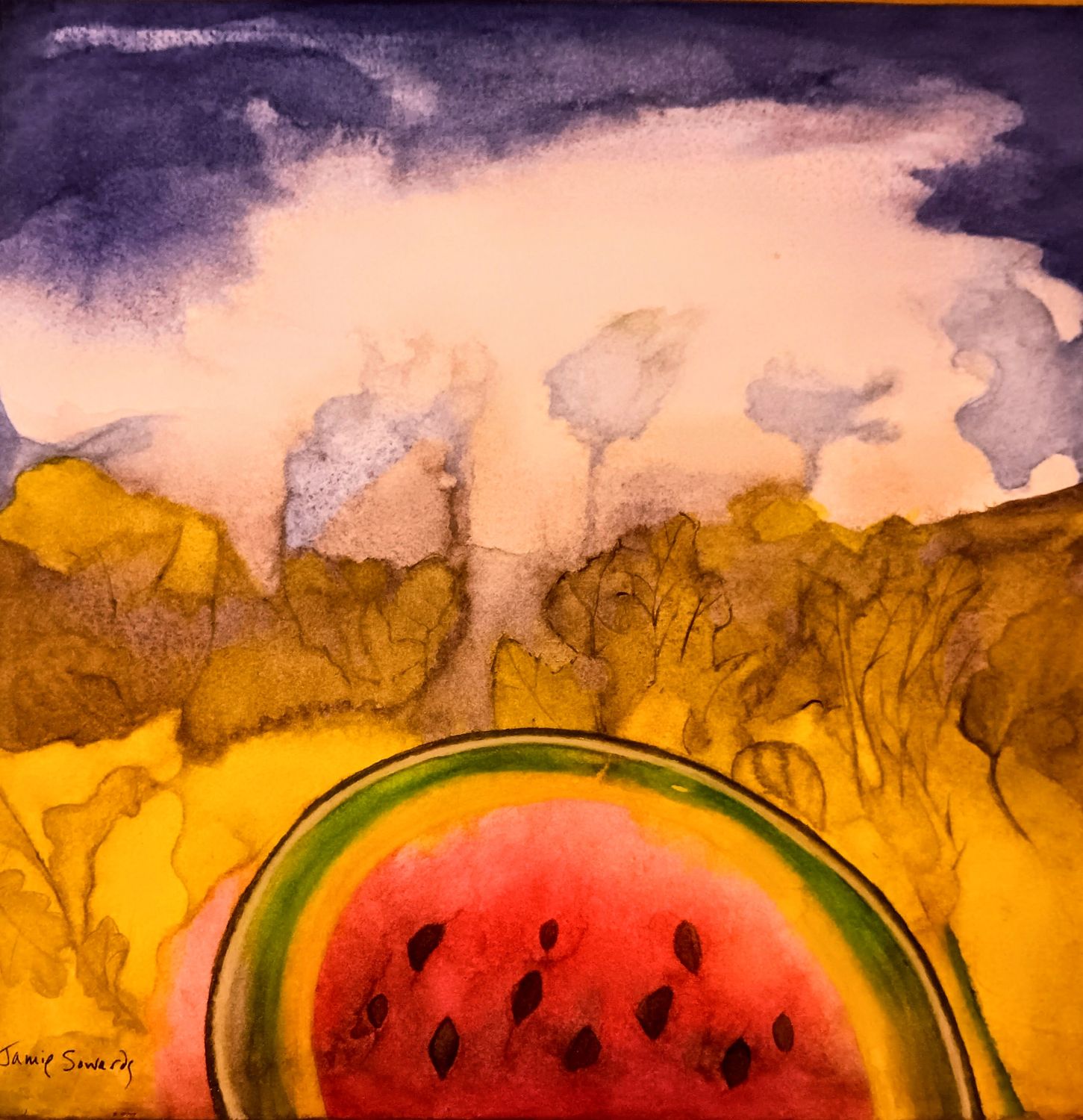 Watermelon Patch