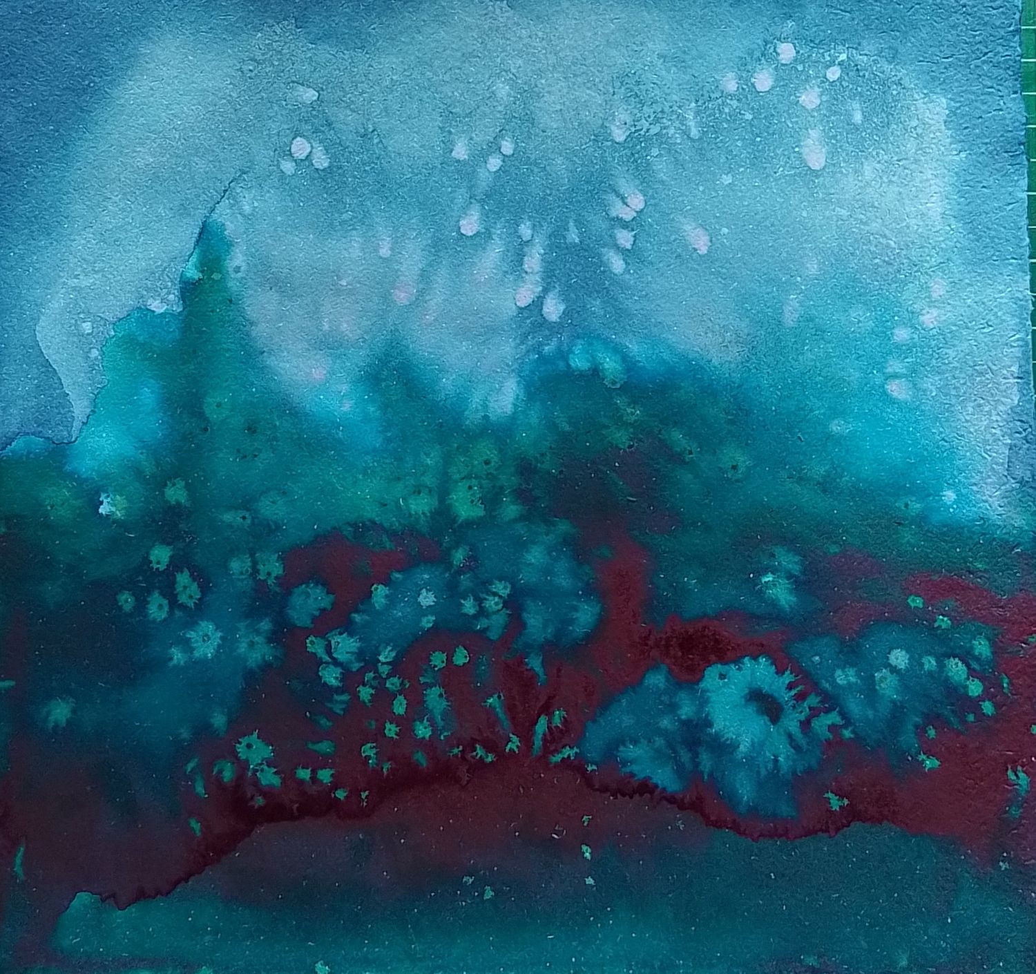 Fireflies