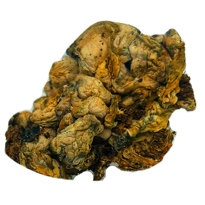 Enigma Blobs- OGPE