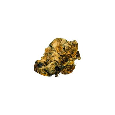 Enigma Blobs- OGPE