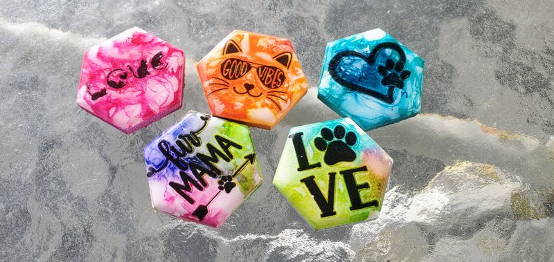 5 Pack Magnets w/ Vinyl