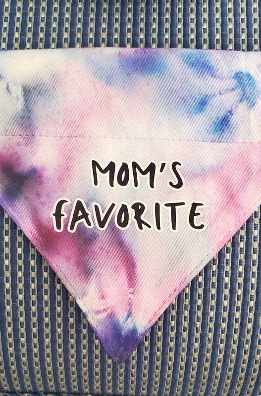 XS Collared Bandanas