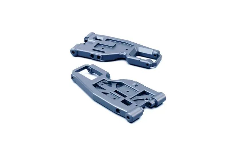 Agama N1 triangle inférieur avant (x2)