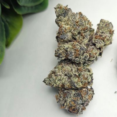 Oreos - (BC Exotic) - AAAA+