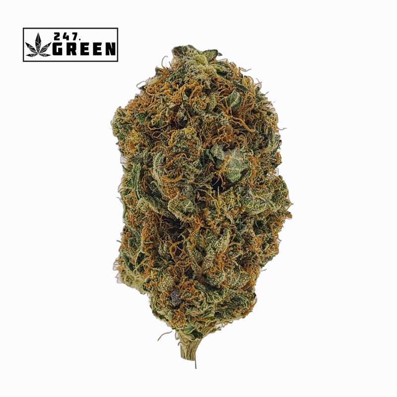 Pink LED - (BC ELITE) - AAAA+