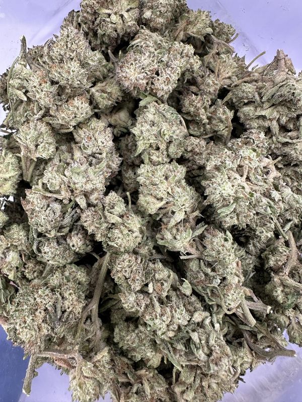 Snow White ⛄ (1 Oz deal) - AAA
