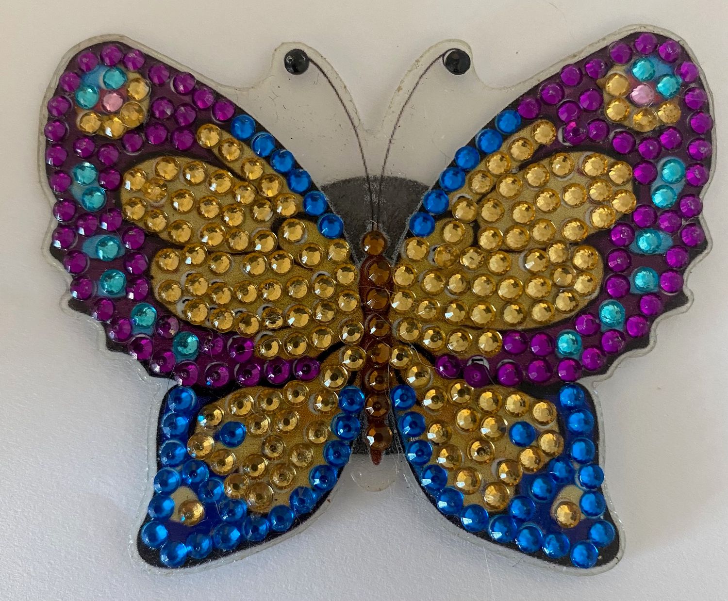 Schmetterling Magnet